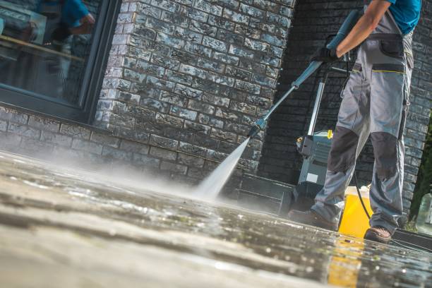 Best Animal Enclosure Cleaning  in Lton, IN